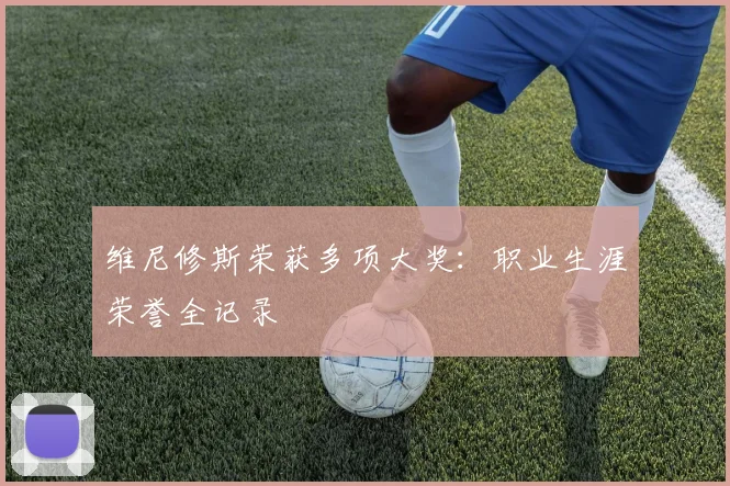 维尼修斯荣获多项大奖:职业生涯荣誉全记录
